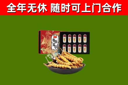 金华回收冬虫夏草价格